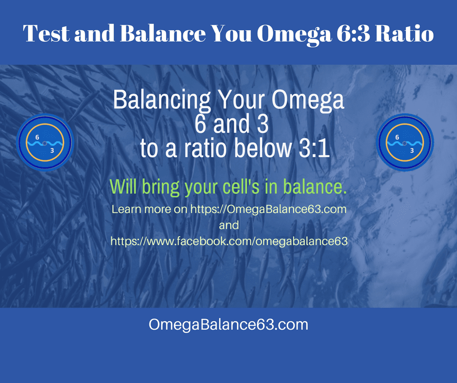 balance omega 3