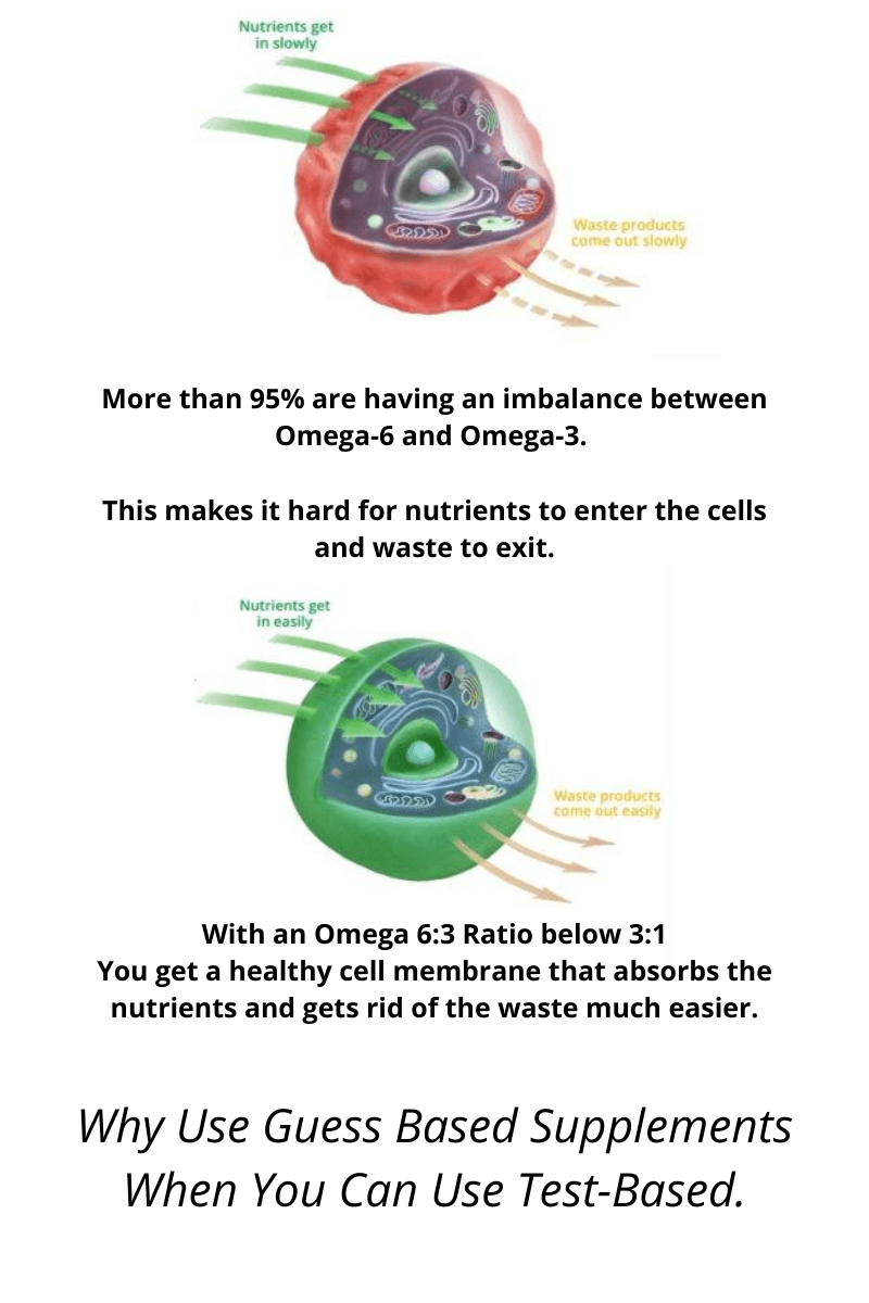 What Is Omega 6 To Omega 3 Ratio? Omega Balance 63