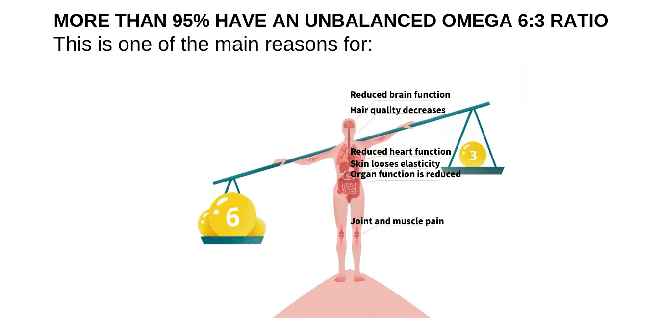 balance omega 3 y 6