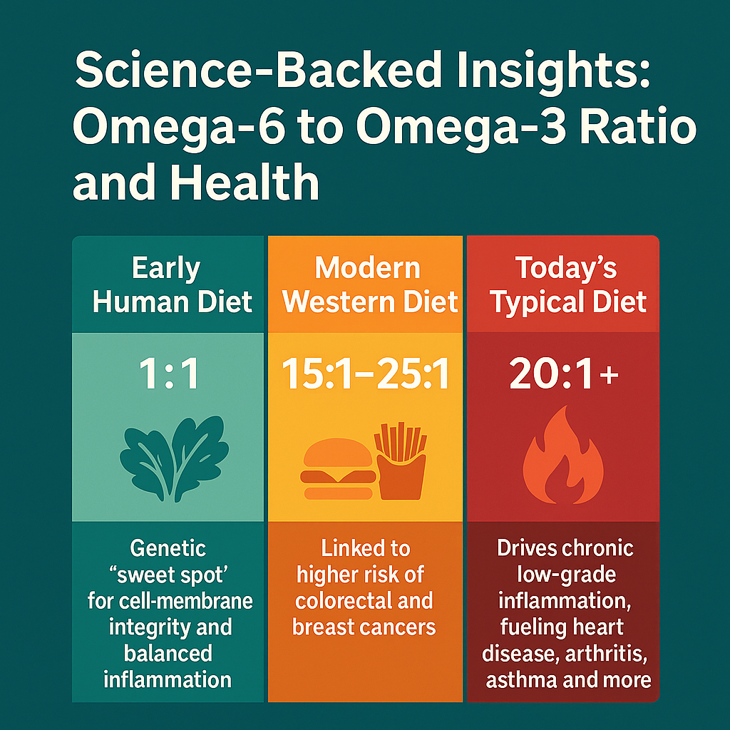 Square infographic titled ‘Science-Backed Insights: Omega-6 to Omega-3 Ratio and Health’ showing three side-by-side tables for Early Human Diet (1:1), Modern Western Diet (15:1–25:1), and Today’s Typical Diet (20:1+), each color-coded (green, orange, red) with matching icons and concise health takeaways.