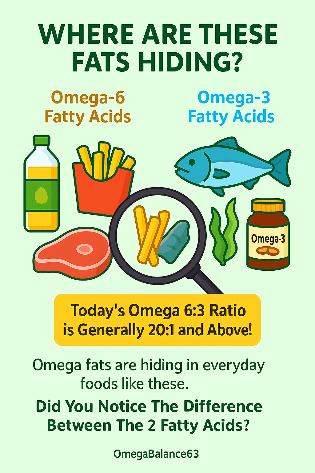 Where are these fats hiding? Infographic comparing Omega-6 and Omega-3 fatty acids in everyday foods.
