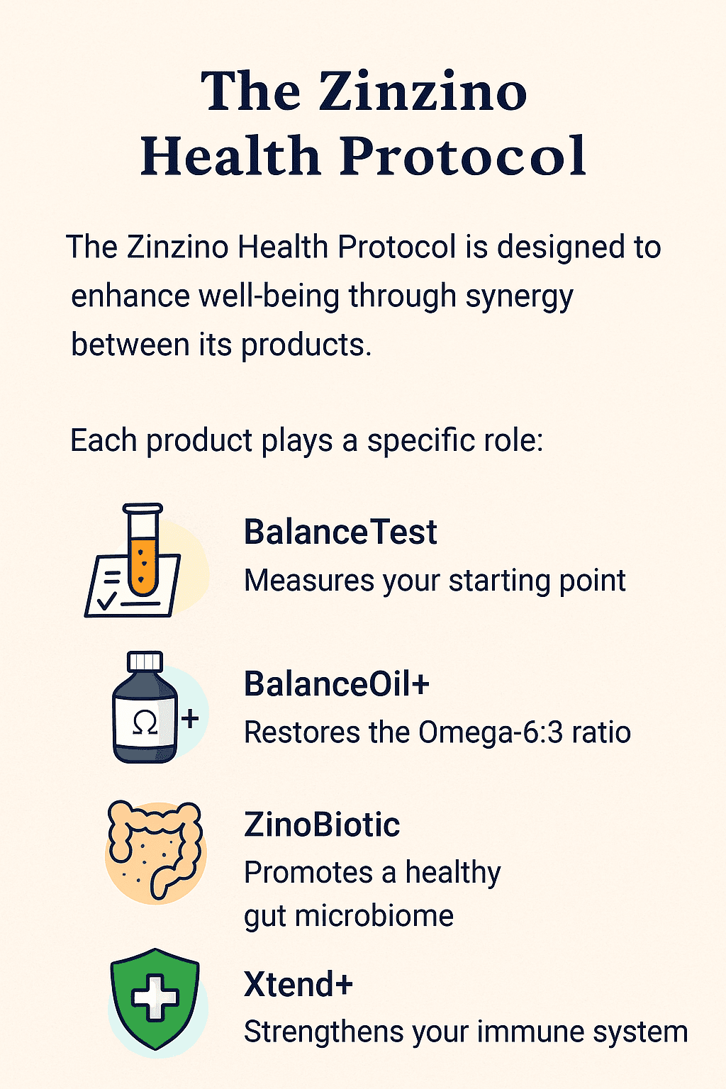 Infographic showing the synergy between Zinzino BalanceTest, BalanceOil+, Xtend+, and ZinoBiotic+ to support Omega balance, gut health, immunity, and cellular function.